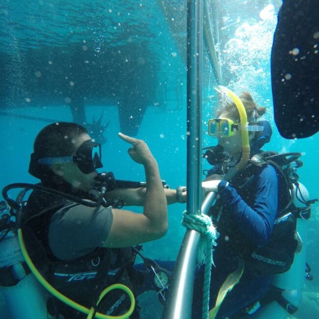 Intro dive - Down Under Cruise