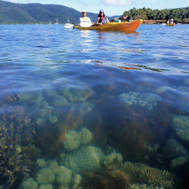 Coral reef & kayak.Photo credit: @saltydogkayak on Instagram