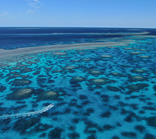 Kiana Whitsundays Great Barrier Reef. Photo credit @Diveplanit on website