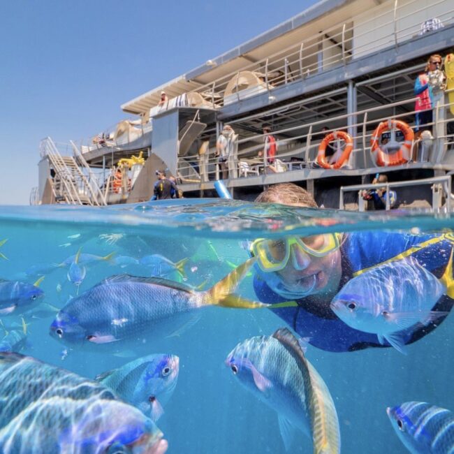 GBR snorkelling. Skydive Australia. Photo credit @cruisewhitsundays on Instagram