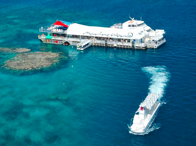 Marine World pontoon. Photo credit @reefmagiccairns on Instagram