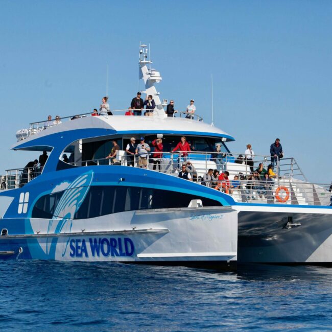 Spirit of Migaloo II boat. Photo credit @Sea World official website