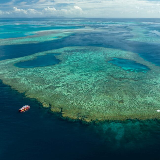 Snorkel in beautiful Outer Reef in Whitsundays. Credits to Red Cat Adventure Offical Website