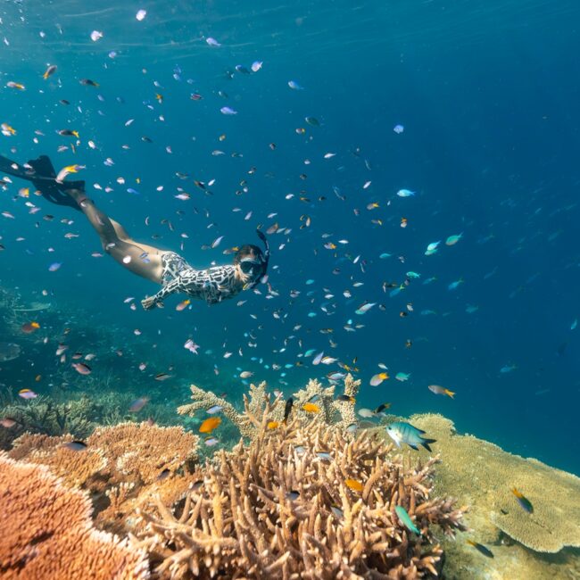 Snorkel in Outer Reef in Whitsundays. Credits to Red Cat Adventure Offical Website