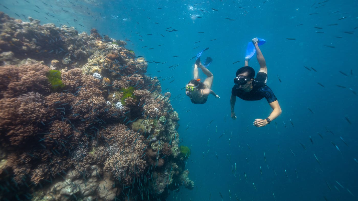 Explore Group Hamilton_Snorkel in the Bait Reef