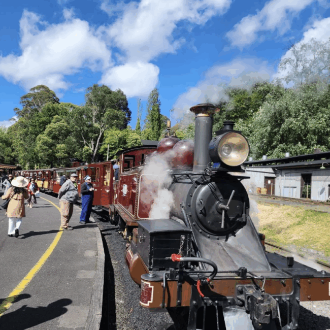 【PM】 蒸汽火車&企鵝歸巢小團 2