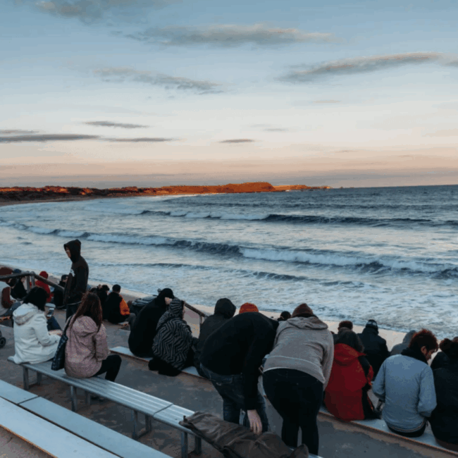 【PM】 蒸汽火車&企鵝歸巢小團 3